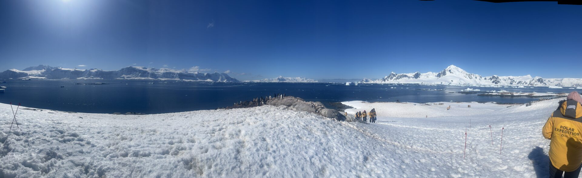 You are currently viewing Off to Antarctica; Chapter Two